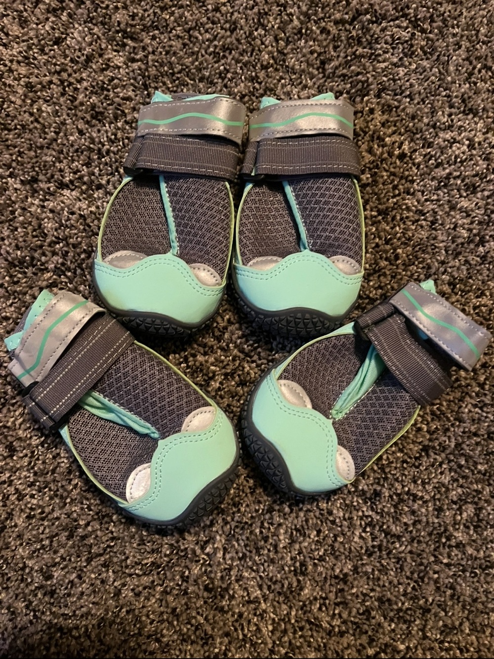 Dog booties